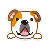 Sticker - English Bulldog